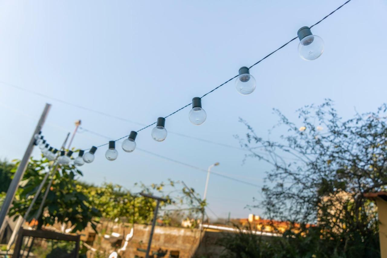 Growth House Bed & Breakfast Porto Ngoại thất bức ảnh