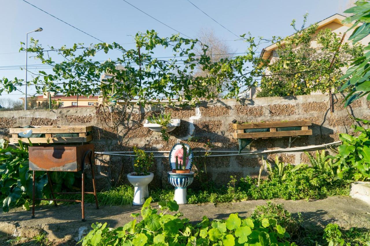 Growth House Bed & Breakfast Porto Ngoại thất bức ảnh