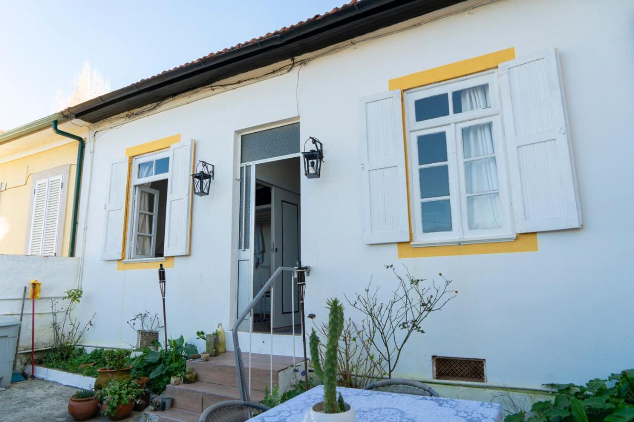 Growth House Bed & Breakfast Porto Ngoại thất bức ảnh