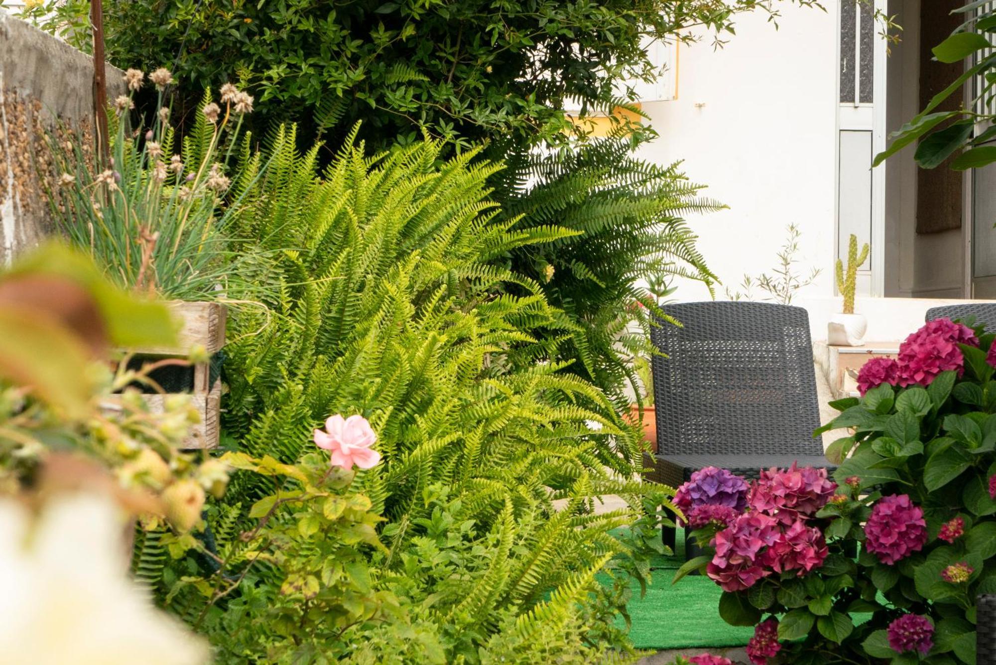 Growth House Bed & Breakfast Porto Ngoại thất bức ảnh