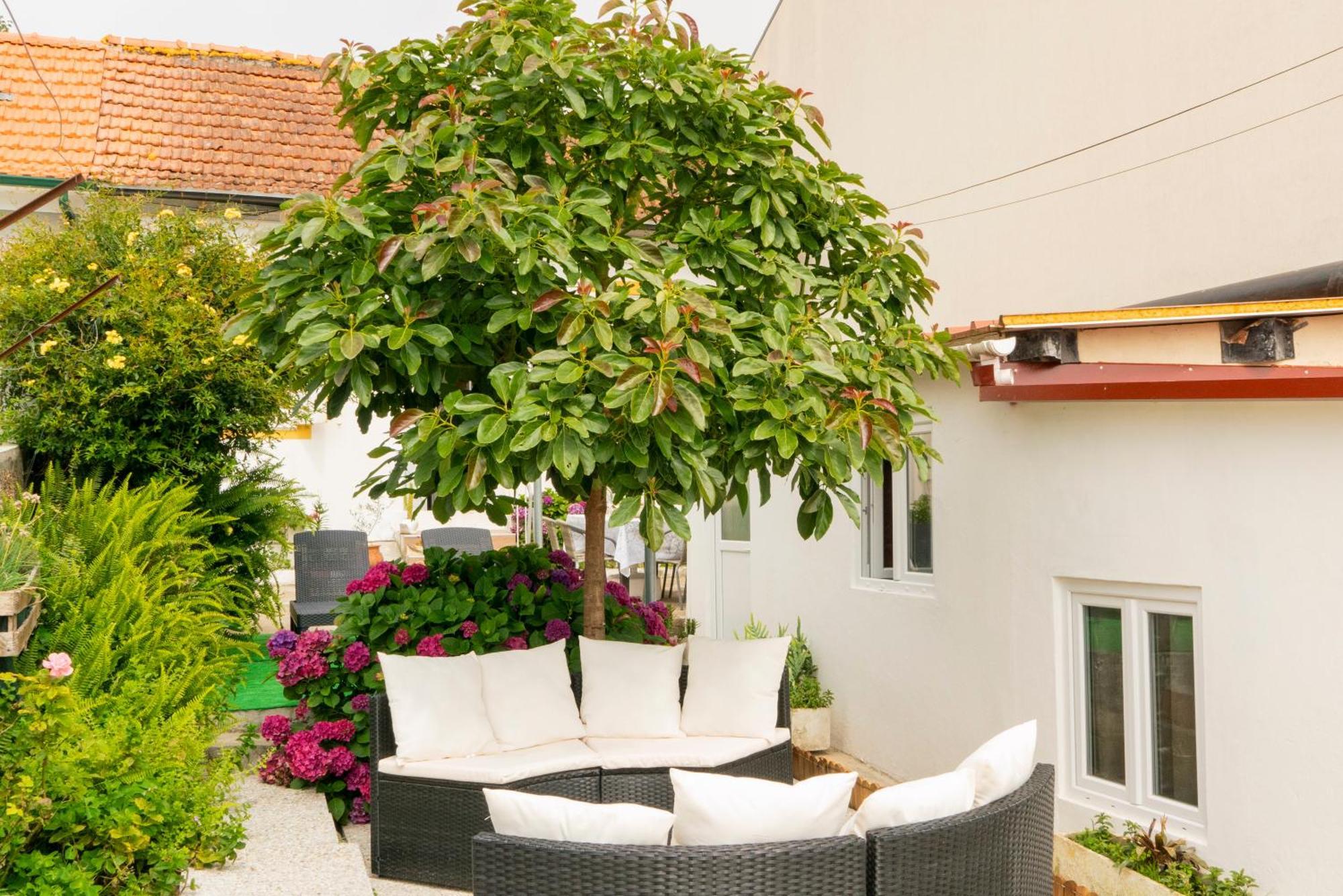 Growth House Bed & Breakfast Porto Ngoại thất bức ảnh